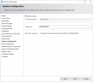 Instance Configuration Screen